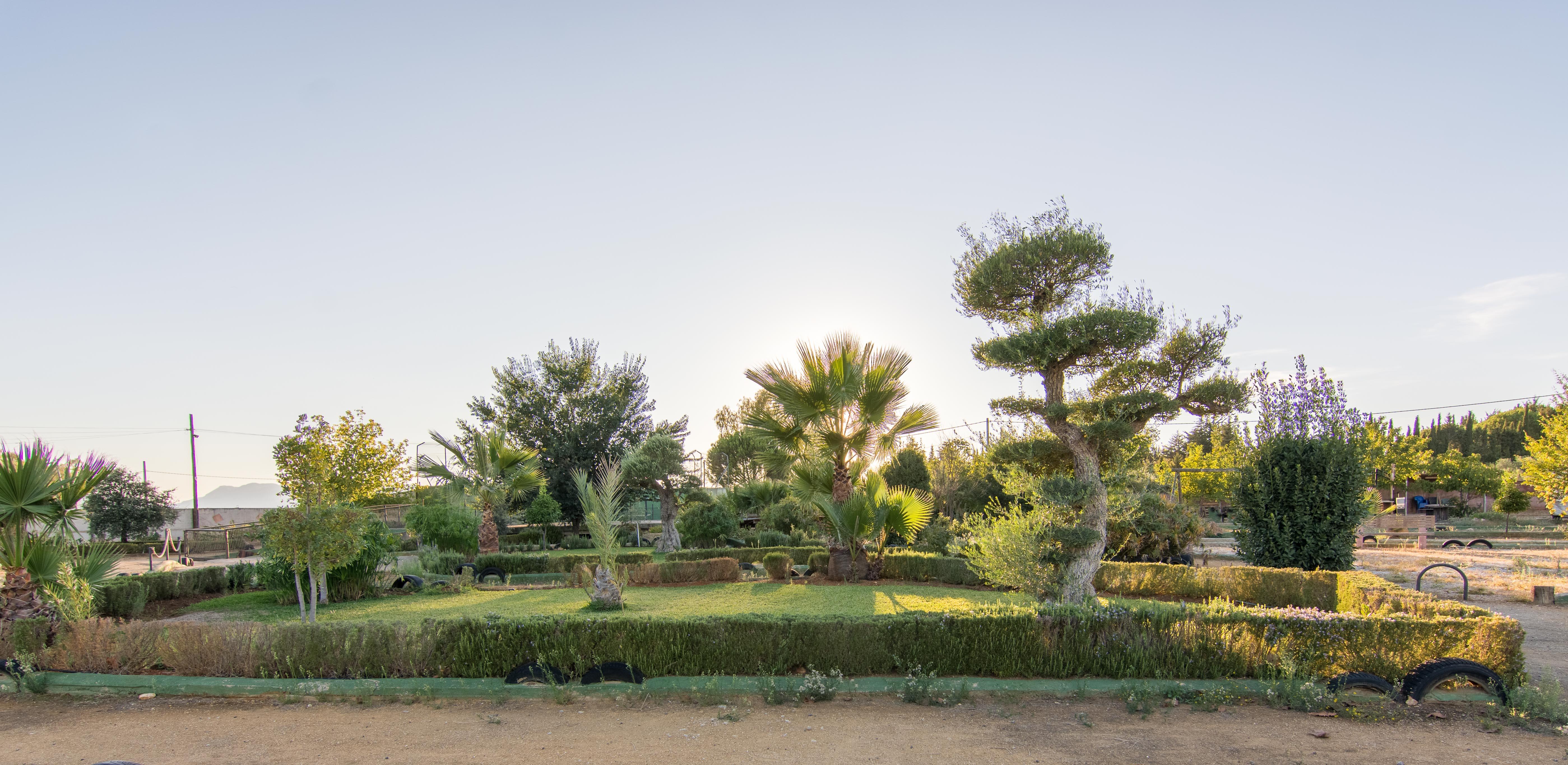 Hotel Rural El Cortijo Ронда Экстерьер фото